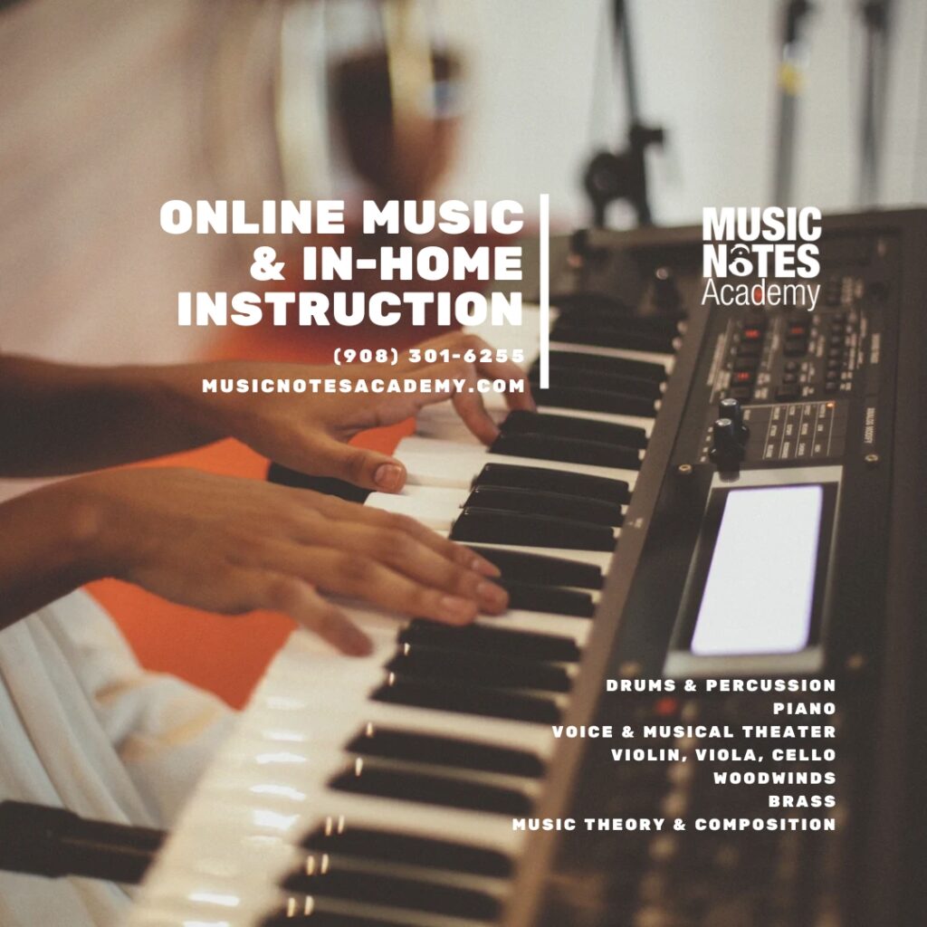 Online Music Lessons, In-Home Music Lessons, New Jersey